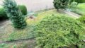 Haus Garten